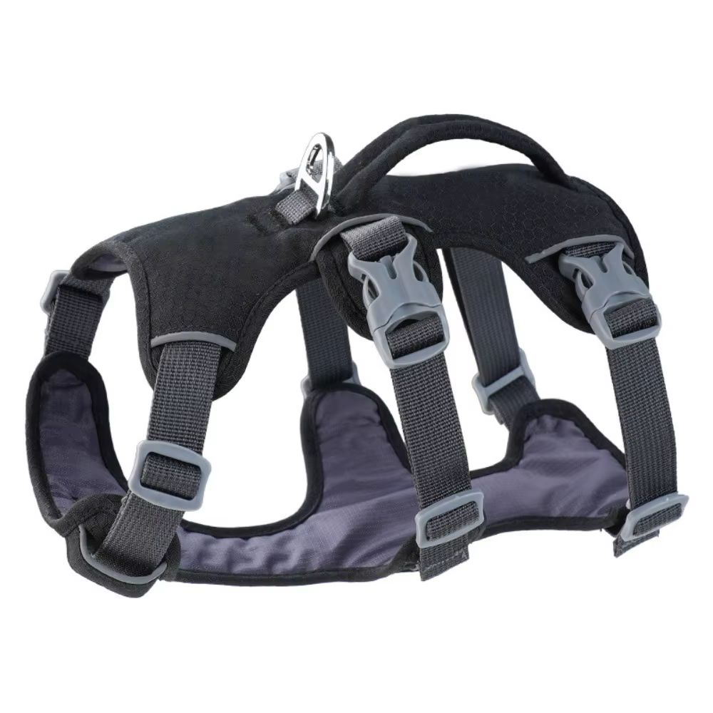 Harnais pour Chien Imperméable et Résistant | Confort & Sécurité