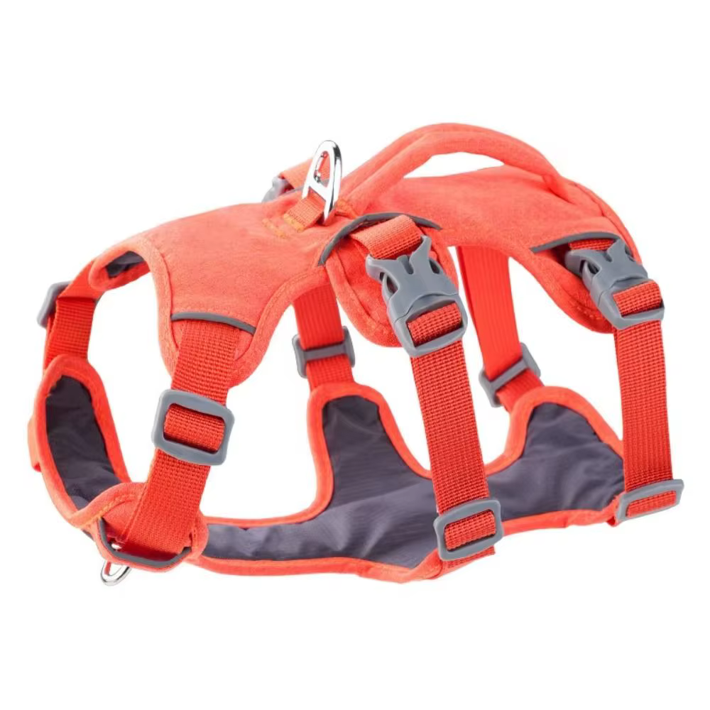 Harnais pour Chien Imperméable et Résistant | Confort & Sécurité