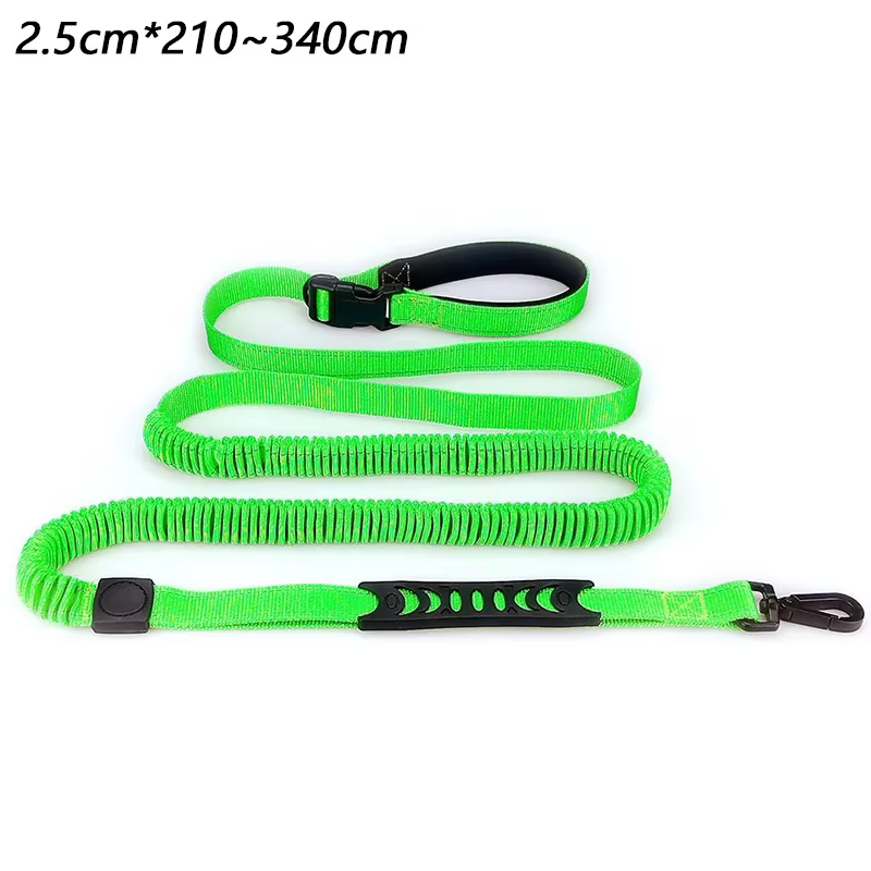 laisse pour chien robuste