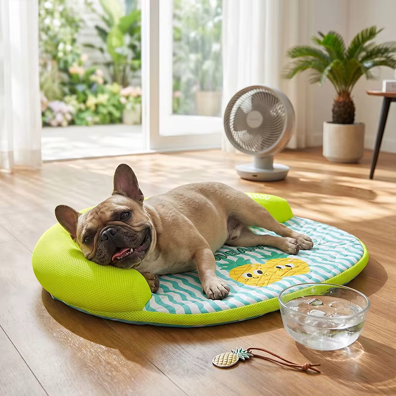 COUSSIN POUR CHIEN