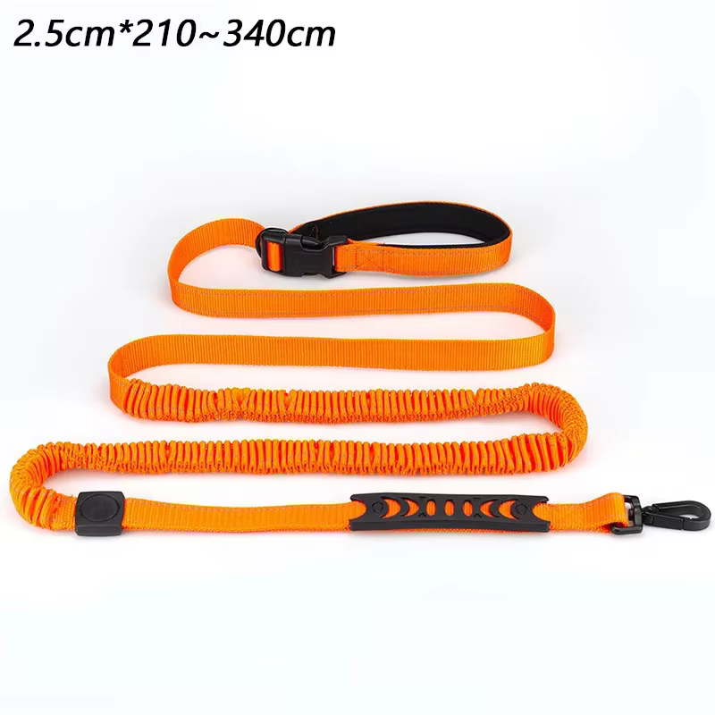 laisse pour chien robuste