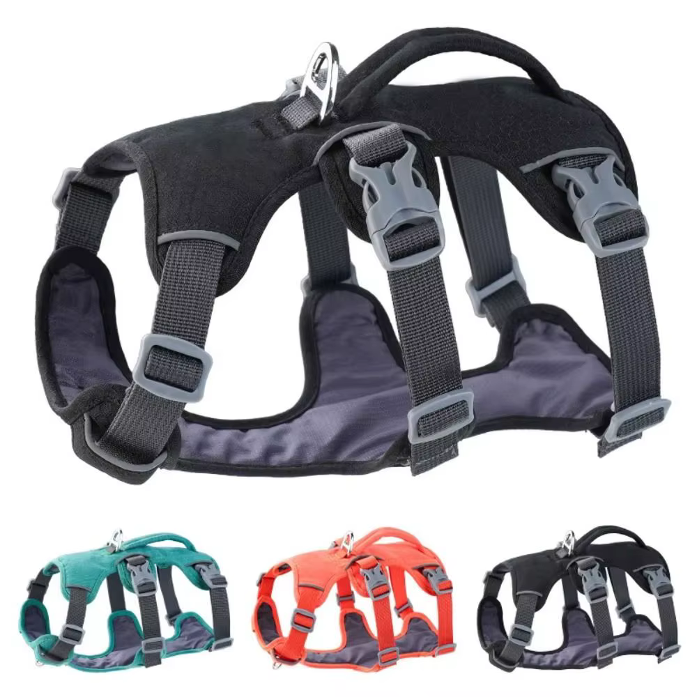 Harnais pour Chien Imperméable et Résistant | Confort & Sécurité