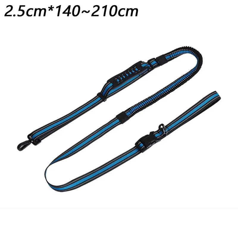 laisse pour chien robuste