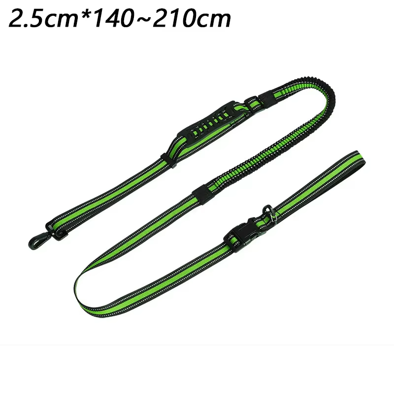 laisse pour chien robuste
