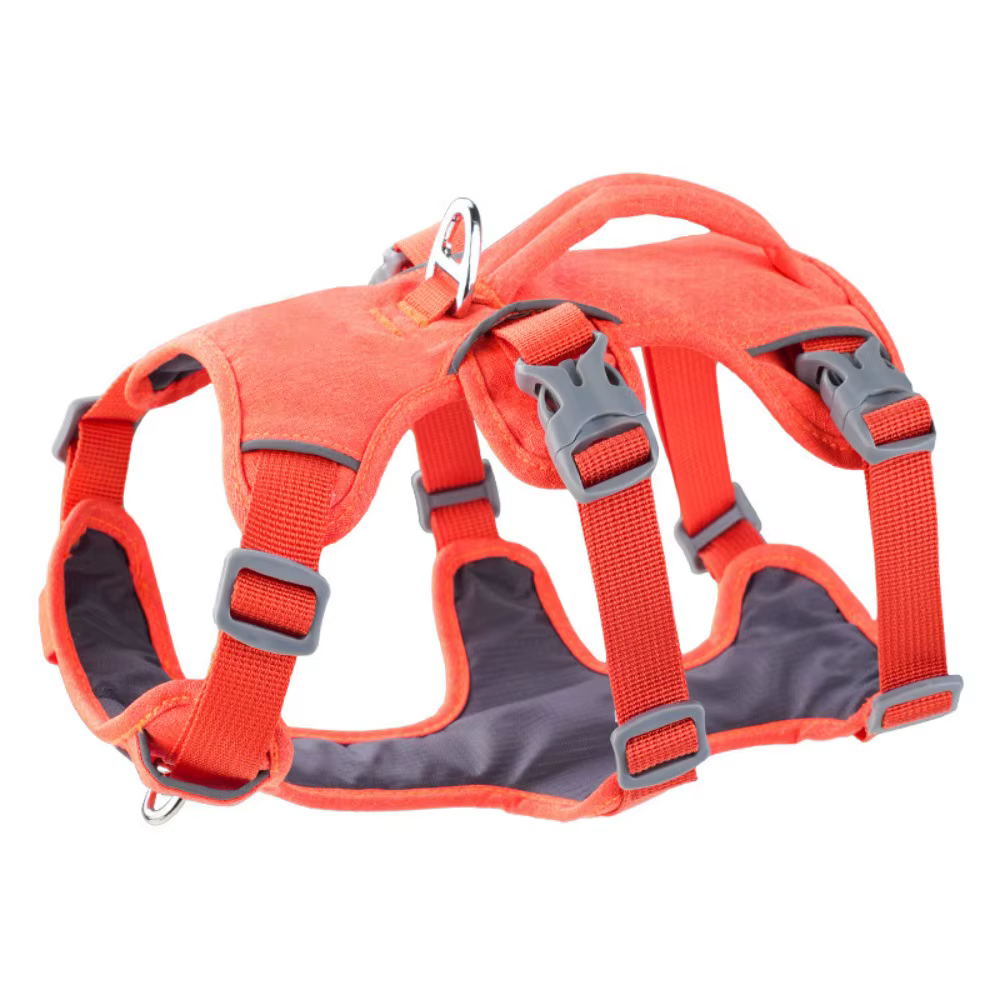 Harnais pour Chien Imperméable et Résistant | Confort & Sécurité