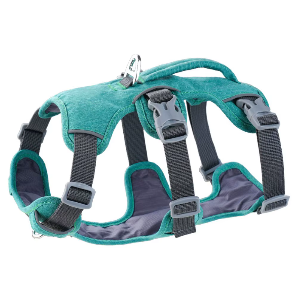 Harnais pour Chien Imperméable et Résistant | Confort & Sécurité