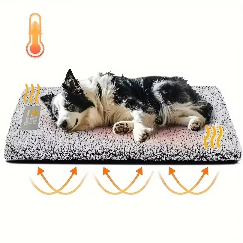 apis confort thermique pour chien – chaleur et bien-être au quotidien