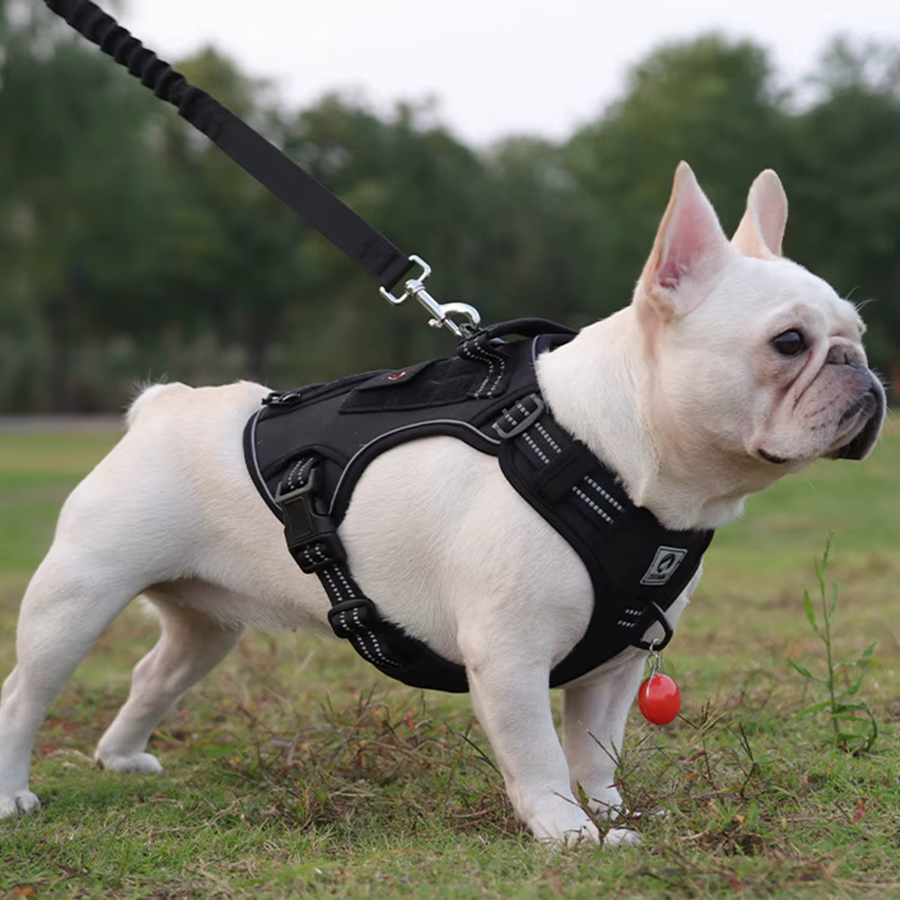 Harnais Tactique Robuste pour Chien | Réfléchissant, Ajustable et Confortable