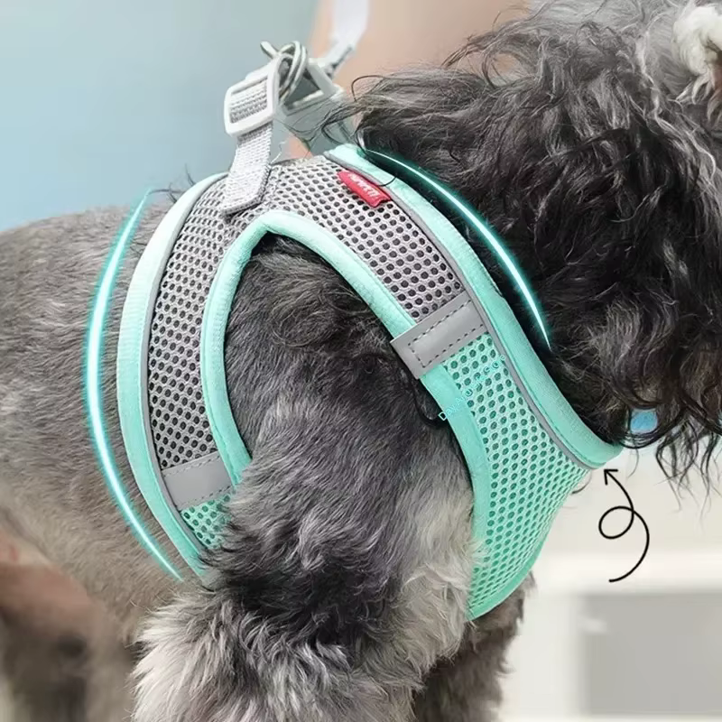 Harnais pour Chien Réglable avec Laisse – Gilet Confortable et Respirant
