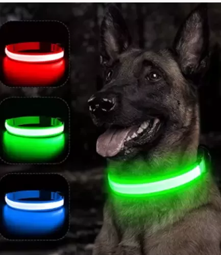 Pourquoi utiliser un collier LED pour promener son chien la nuit ?