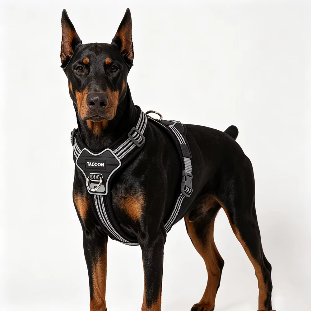 Harnais Anti-Traction et Réfléchissant | Confort-Chien