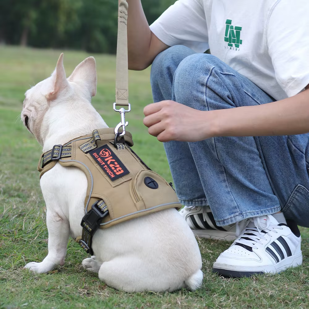 Harnais Tactique Robuste pour Chien | Réfléchissant, Ajustable et Confortable