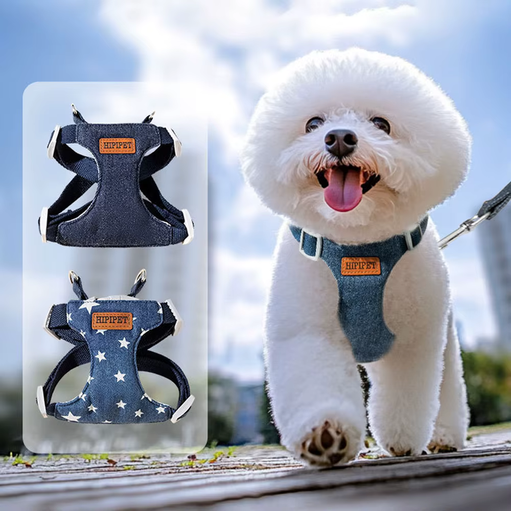 Harnais Chien avec Laisse 2 m – Confort et Contrôle