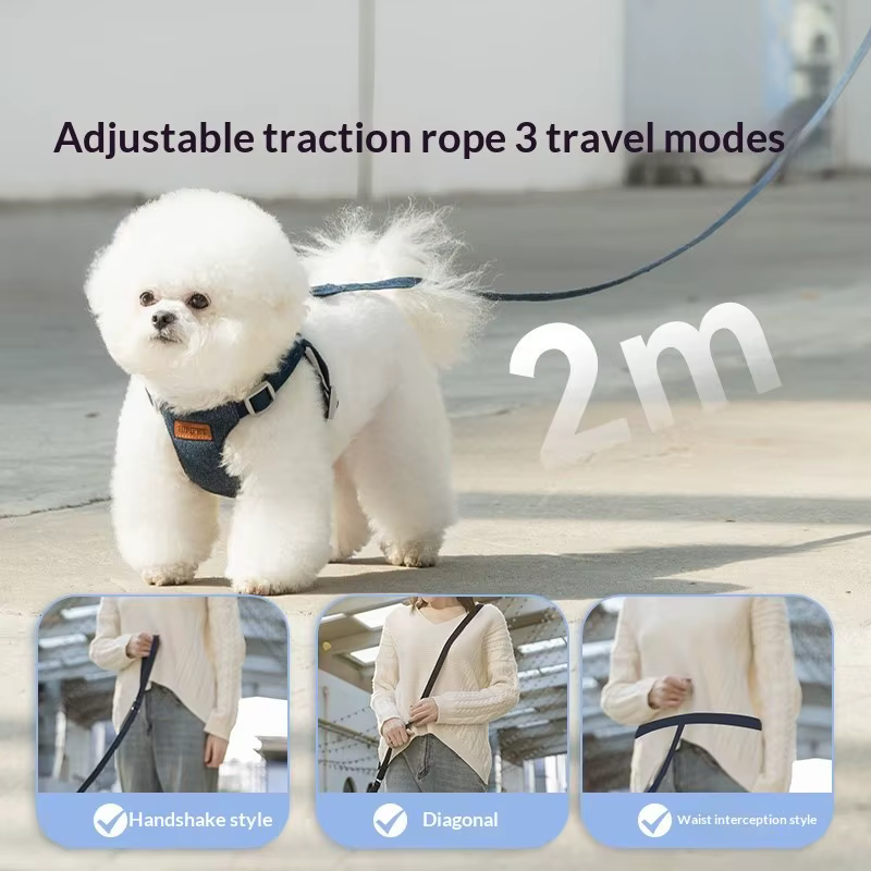 Harnais Chien avec Laisse 2 m – Confort et Contrôle