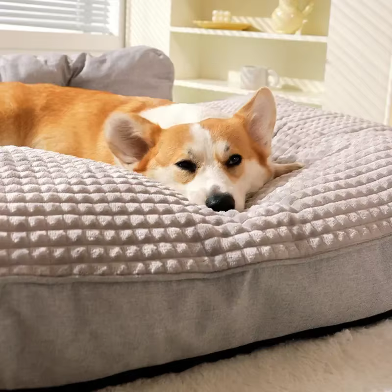 Lit Canapé pour Chien Grand Confort | Panier Moelleux Gris