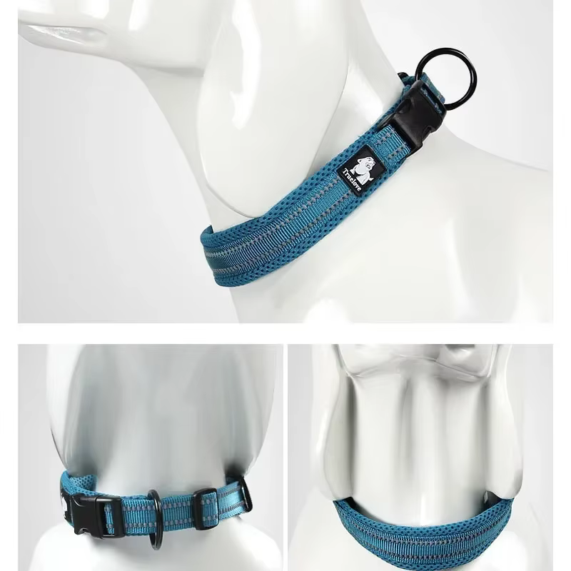 collier réglable pour chien