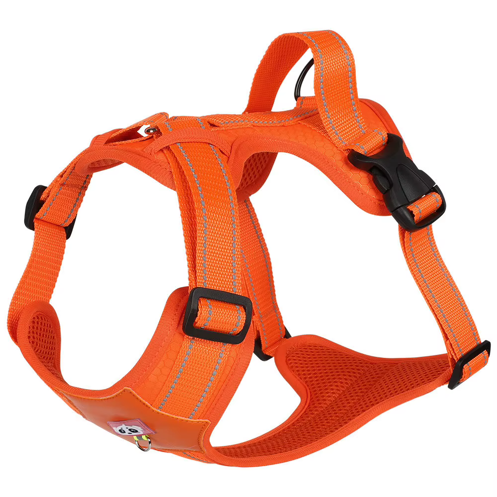 Harnais pour Dobermann Réglable et Confortable – Contrôle, Maintien et Sécurité