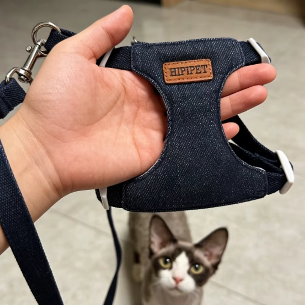 Harnais Chien avec Laisse 2 m – Confort et Contrôle