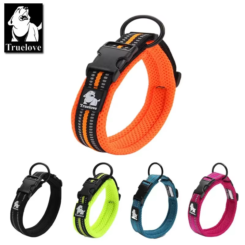 collier réglable pour chien