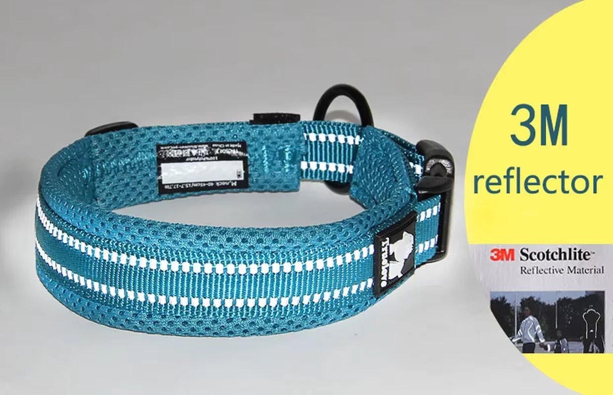 collier réglable pour chien