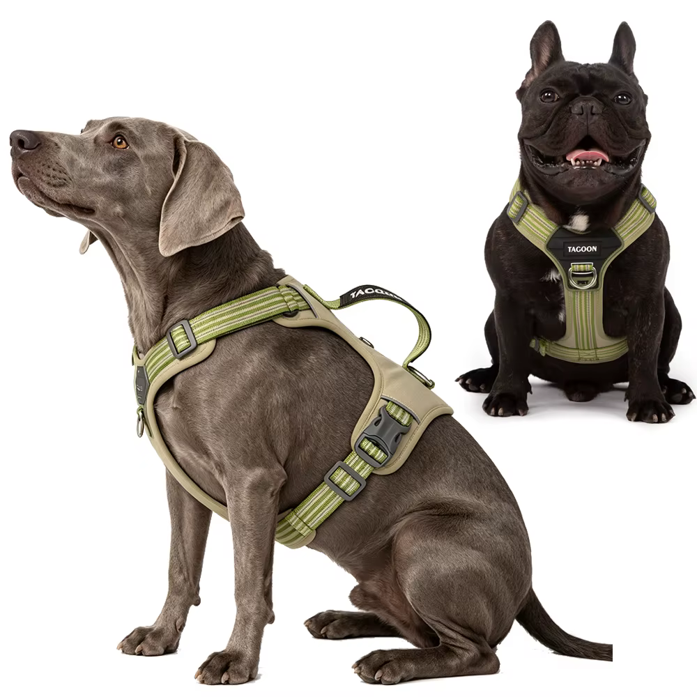Harnais Anti-Traction et Réfléchissant | Confort-Chien